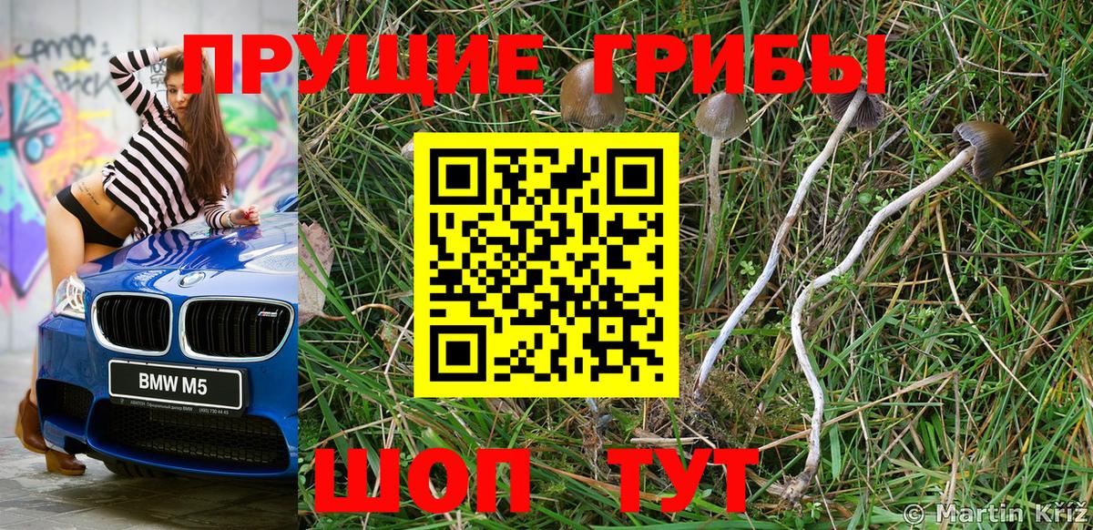 Октябрьский  Псилоцибиновые грибы MAGIC MUSHROOMS  цены наркотик  Псилоцибиновые грибы MAGIC MUSHROOMS  Вход с VPN 